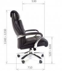 ������ Chairman 401