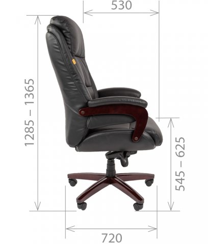 ������ Chairman 404