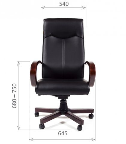 ������ Chairman 411