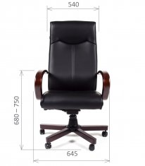 ������ Chairman 411