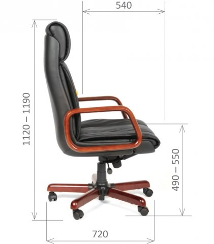 ������ Chairman 419