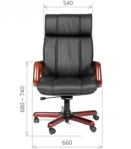 ������ Chairman 419