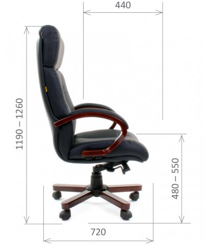 ������ Chairman 421