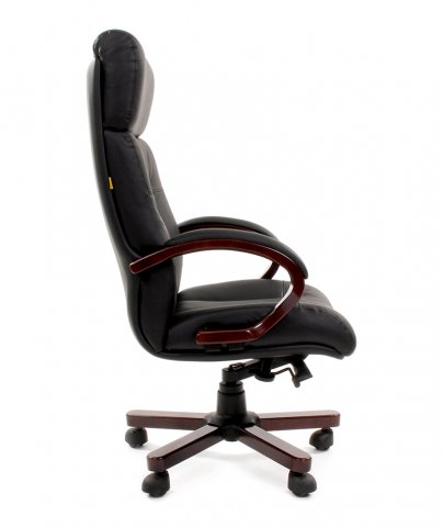 ������ Chairman 421