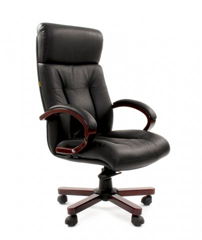������ Chairman 421