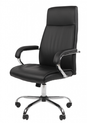 ������ Chairman 425