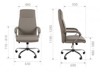 ������ Chairman 425