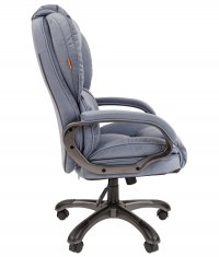 ������ Chairman 434 Home