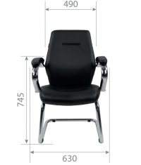 ������ Chairman 495