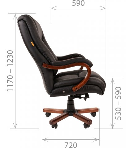������ Chairman 503