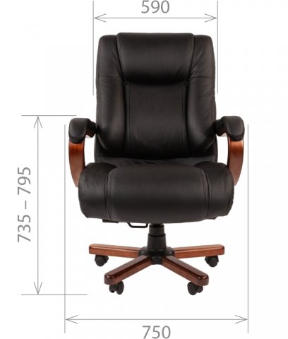 ������ Chairman 503