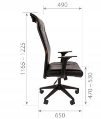 ������ Chairman 510