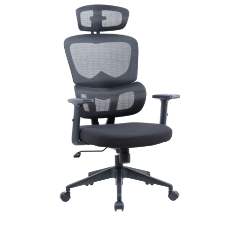 ������ Chairman 560