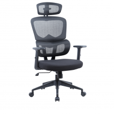 ������ Chairman 560