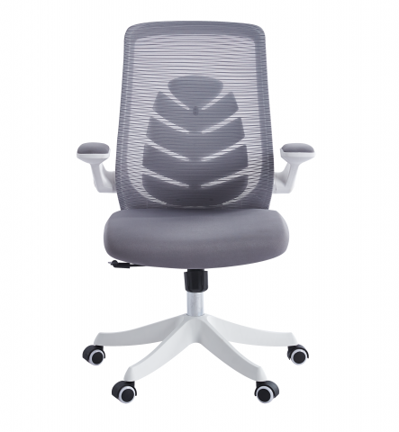 ������ Chairman 565