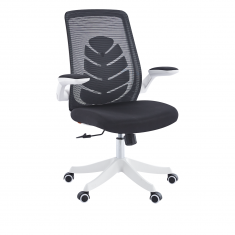 ������ Chairman 565