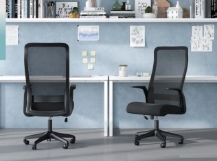 ������ Chairman 573