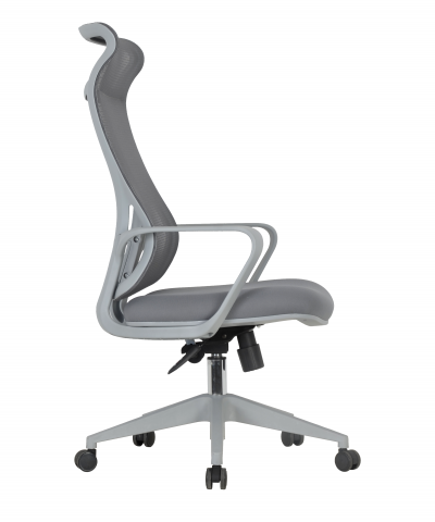 ������ Chairman 577