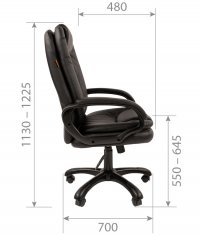 ������ Chairman 668