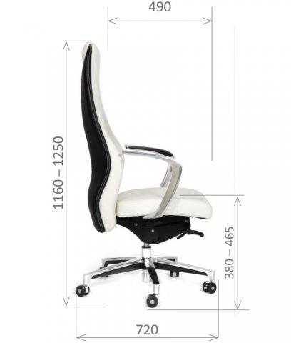 ������ Chairman Basic