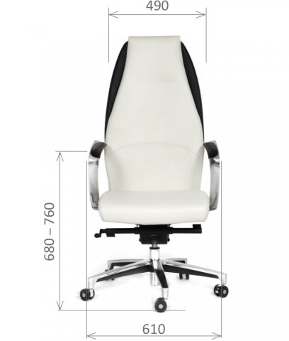 ������ Chairman Basic V