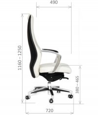 ������ Chairman Basic V