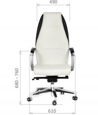������ Chairman Basic V