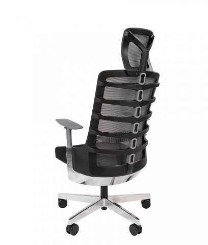 ������ Chairman Spinelly