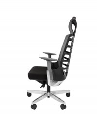 ������ Chairman Spinelly