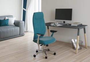������ Chairman Vista Home