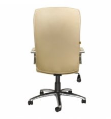 ������ Consul