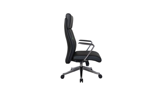 ������ ���� (� 1511) ����������� ���� ������