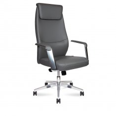 ������ ����� ���� / Davos Grey