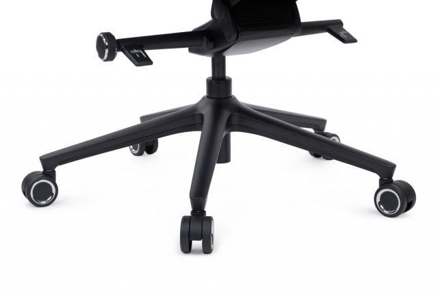 ������ �����-� ����-C-M ����� �����-�����