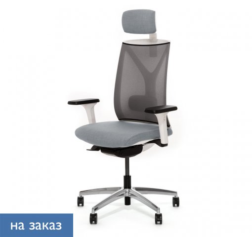 ������ ���� ��� / Dion Mesh