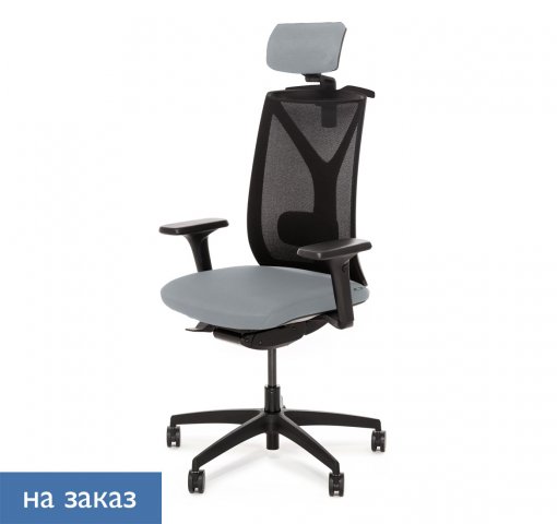 ������ ���� ��� / Dion Mesh