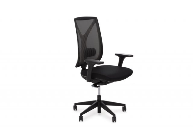 ������ ���� ��� / Dion Mesh
