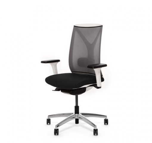 ������ ���� ��� / Dion Mesh