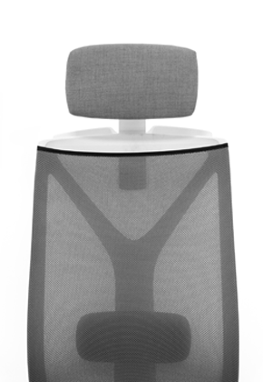 ������ ���� ��� / Dion Mesh