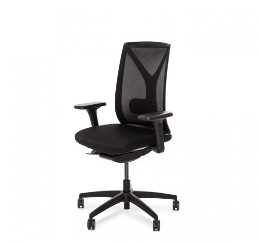 ������ ���� ��� / Dion Mesh