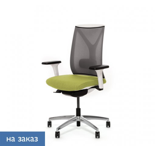 ������ ���� ��� / Dion Mesh