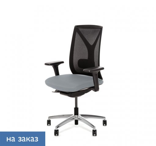 ������ ���� ��� / Dion Mesh