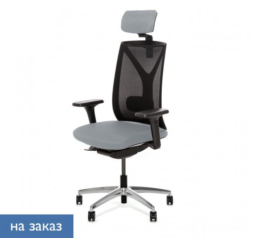 ������ ���� ��� / Dion Mesh