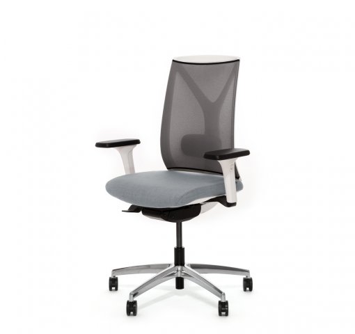 ������ ���� ��� / Dion Mesh