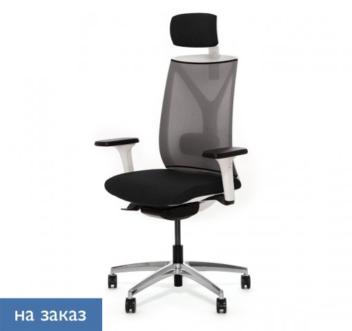 ������ ���� ��� / Dion Mesh