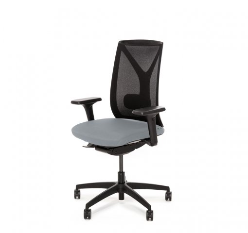 ������ ���� ��� / Dion Mesh