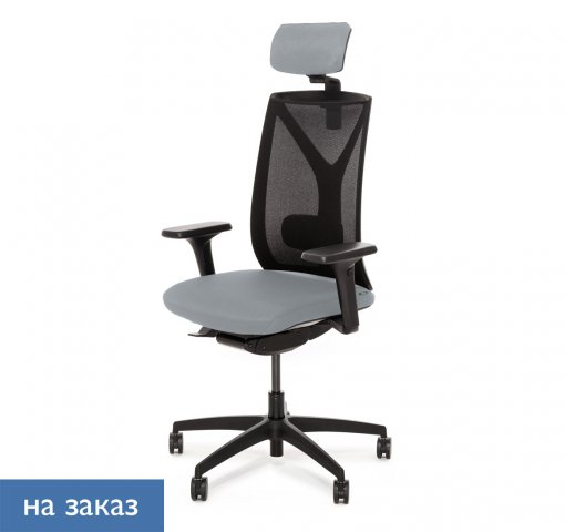 ������ ���� ��� / Dion Mesh