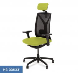 ������ ���� ��� / Dion Mesh