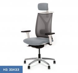 ������ ���� ��� / Dion Mesh