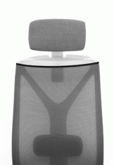 ������ ���� ��� / Dion Mesh